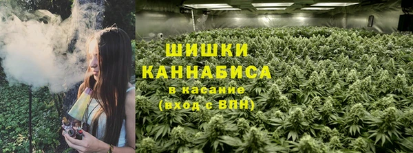 шишки Абдулино