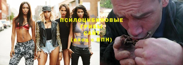 шишки Абдулино