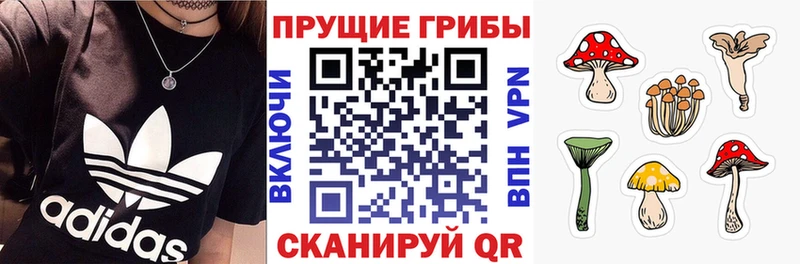 Псилоцибиновые грибы мицелий  дарнет шоп  Юрга 