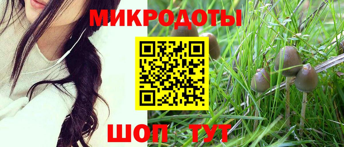 Галлюциногенные грибы Psilocybe Юрга