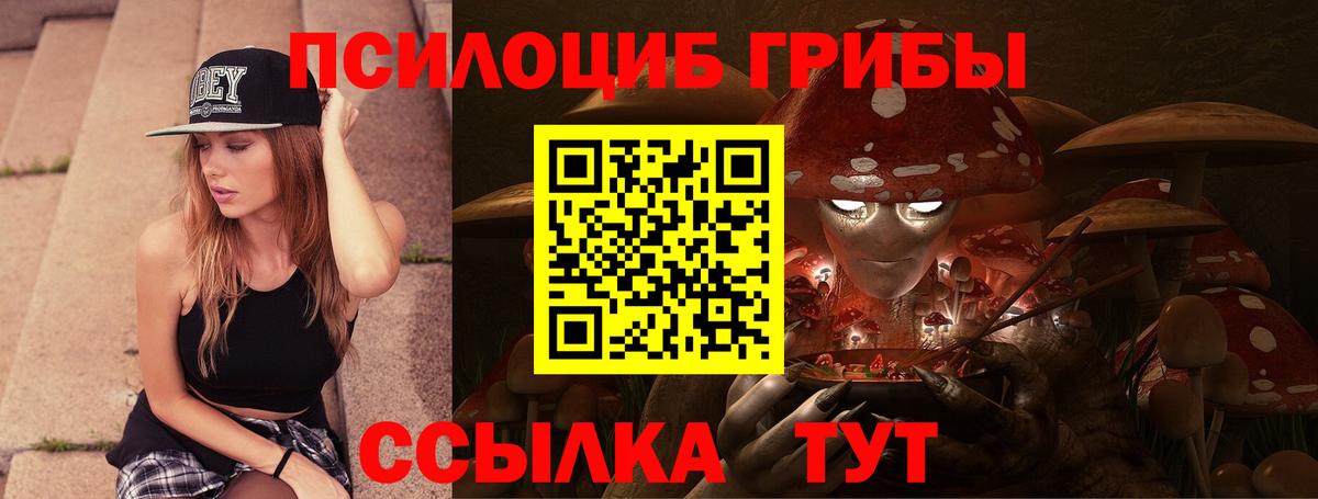 Галлюциногенные грибы мухоморы  сколько стоит  Вход с VPN  Юрга  Псилоцибиновые грибы мицелий 